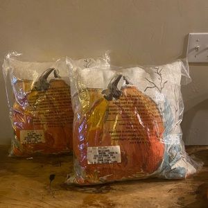 Two pier one decorative pillows